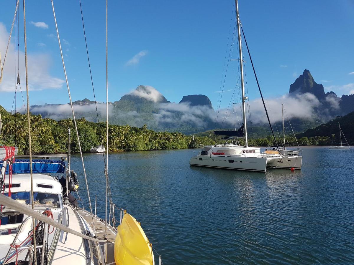 2 Nuits Insolites & 1 Excursion Voile A Bord Du Voilier Mori Ora Moorea Eksteriør billede