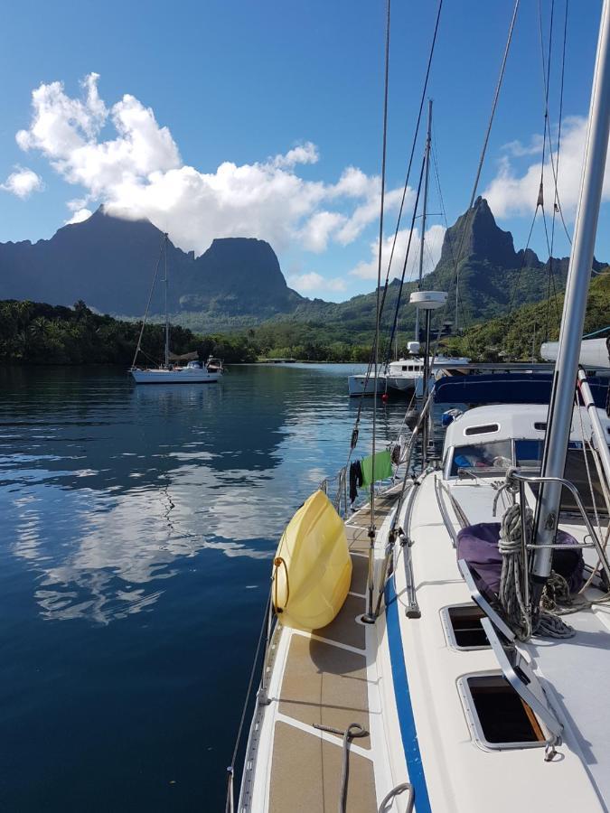 2 Nuits Insolites & 1 Excursion Voile A Bord Du Voilier Mori Ora Moorea Eksteriør billede