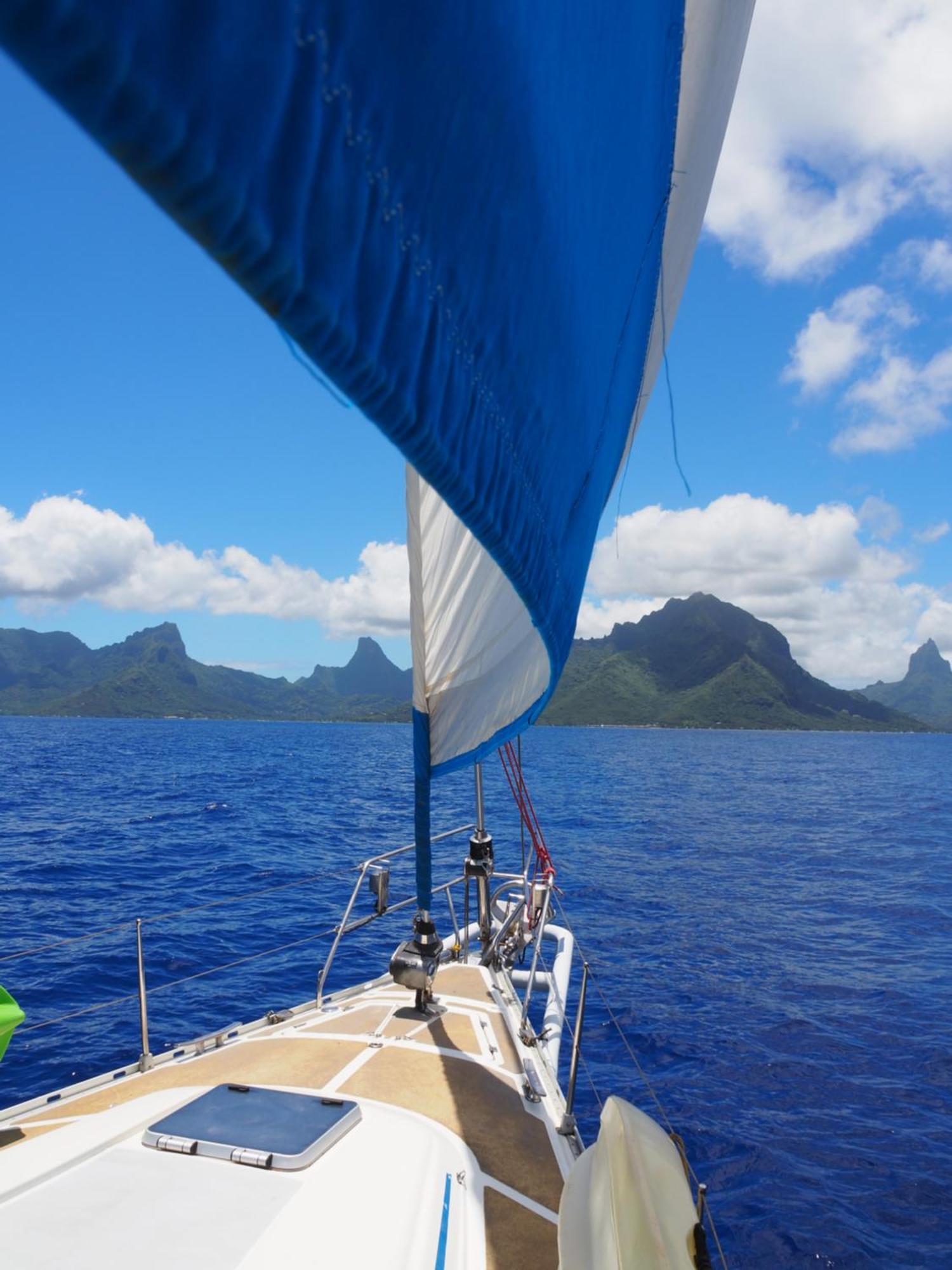 2 Nuits Insolites & 1 Excursion Voile A Bord Du Voilier Mori Ora Moorea Eksteriør billede
